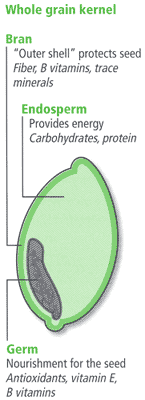 grain kernel