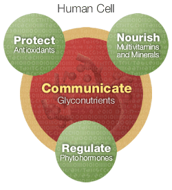 a cells primary needs