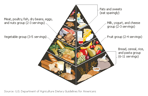 food pyramid