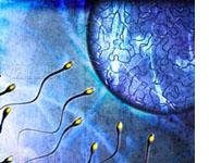 preconception