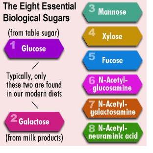 essential sugars
