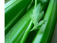 celery