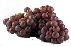 purple grapes