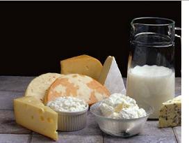 dairy products